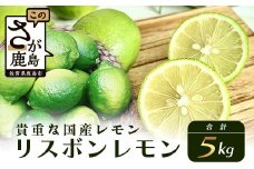 B-367【貴重な国産レモン】佐賀県鹿島産 リスボンレモン ５ｋｇ