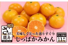 B-373 ”じっぱか”鹿島産みかん 約11kg 大中小サイズ混合