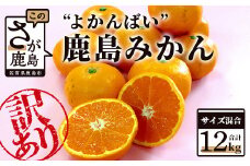 数量限定『よかんばい』 鹿島産 みかん約12kg 訳アリ 傷アリ 【大中小 サイズ混合】 ミカン 果物 フルーツ 佐賀県 鹿島市 送料無料 【11月中旬から配送予定】 B-374