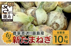 AA-17 5/27受付終了【生産者直送】鹿島産 新たまねぎ（サイズ混合）約10kg 新鮮 甘い みずみずしい  人気 安心安全 大自然の恵
