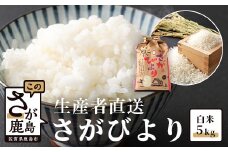 B-386【生産者直送】佐賀県鹿島市産 さがびより　白米５ｋｇ