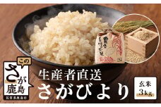 A-133 【生産者直送】佐賀県鹿島市産 さがびより　玄米３ｋｇ