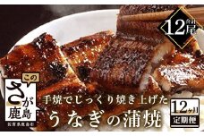 P-5 うなぎの蒲焼（１尾入り）１２か月定期便