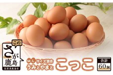C-54 佐賀鹿島産 平飼い卵「うみとやまとこっこ」上田養鶏場 【たまご60個】