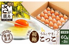 D-117【定期便】佐賀鹿島産 平飼い初卵「うみとやまとこっこ」 上田養鶏場 たまご60個×3回