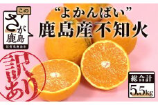 A-137【訳アリ・お届け期日指定不可】 ”よかんばい”鹿島産不知火 約5.5kg（箱込み：配送における傷み保証含む）