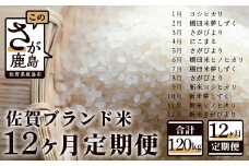 V-26【12か月定期便】佐賀ブランド米定期便（10kg×12回）