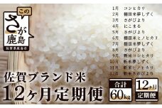 L-31【12か月定期便】佐賀ブランド米定期便（5kg×12回）