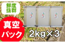 B-397【１等米限定 令和５年産】《真空パック》さがびより 6kg（2kg×3）鹿島市産