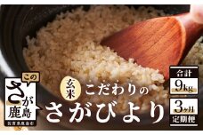 C-58【生産者直送】こだわりのさがびより3kg×3か月定期便（玄米）