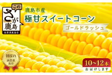 予約受付【限定30セット】 スイートコーン （ゴールドラッシュ） 10～12本入 朝採れ とうもろこし トウモロコシ 野菜 糖度17~18℃以上 鹿島市産 佐賀県産 春 夏 旬【2025年6月上旬～順次発送】 B-319