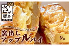 B-413　窯出しアップルパイ【９個入り】