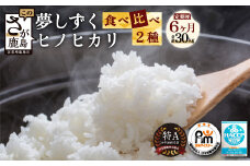 E-94 佐賀米食べ比べセット5kg×6回定期便（夢しずく・ヒノヒカリ）