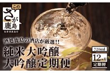 V-32【１２か月】酒処鹿島の酒店厳選！純米大吟醸・大吟醸定期便（720mlサイズ）
