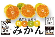 AA-37 毎年大人気！【先行予約】平倉果樹園のひとくちみかん約5.5kg｜鹿島産 小玉みかん（5cm前後）｜贈答用・お取り寄せ ギフト｜温州みかん「ゆら」｜九州 佐賀県 鹿島市産 送料無料 