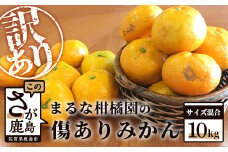 生産者応援！まるな柑橘園の傷ありみかん 約10kg サイズ混合 訳あり【2025年9月下旬頃から出荷開始予定】　みかん、旬柑、有明みかん、訳あり、家庭用、美味しいみかん、お取り寄せ、ジューシー、有明海　B-455  