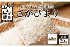 E-99 佐賀県産 厳選 さがびより（無洗米）白米 ３０kg