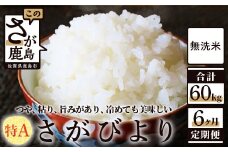 H-22 無洗米さがびより10kg定期便（6か月）