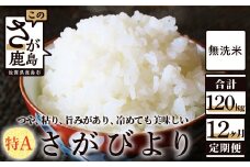 N-14 無洗米さがびより10kg定期便（12か月）