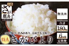 T-5 無洗米さがびより30kg定期便（6か月）