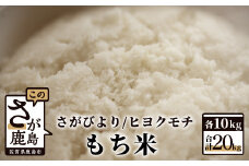 D-151 佐賀県産さがびより・ヒヨクモチ（もち米）白米２０kg（１０kg×2種）