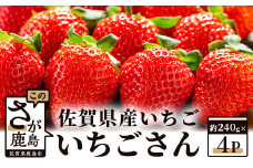 【予約受付】 佐賀県産いちご 「いちごさん」 約240g×4パック B-465