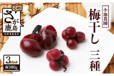 《小池農園》小梅の紅梅漬・小梅の天然しそ漬・紅梅漬３種類セット 【各300g】 B-467