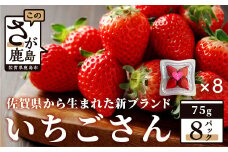 【先行予約】いちご 新ブランド 【いちごさん】 てのひらギフトセット 75g×8パック 計600g 1パック4〜5玉入 【2025年1月上旬～3月発送】 JA直送 鮮度抜群 佐賀県 鹿島市 A-153