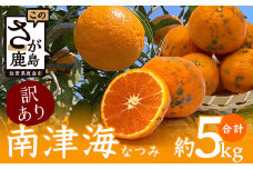 【希少な柑橘・期間限定】訳あり南津海（なつみ） 5kg　　B-484