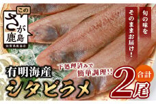【下処理済で簡単調理】有明海産 シタビラメ約150g×2尾【合計約300g】煮つけ・唐揚げにおススメ【脂ののって美味しい】鮮度抜群 A-154