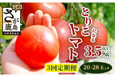 【先行予約】 たにぐちファーム とりこになるトマト【3.5kg以上×3回定期便】【2025年12月から出荷】 Ricotomato トマト [定期便 野菜定期便 定期 野菜 トマト 新鮮 サラダ 生野菜 とまと おすすめ 送料無料] C-84