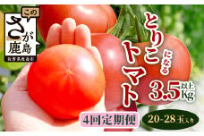【先行予約】 たにぐちファーム とりこになるトマト 【3.5kg以上×4回定期便】【2025年12月から出荷】Ricotomato とりこになる トマト [定期便 野菜定期便 定期 野菜 トマト 新鮮 サラダ 生野菜 とまと おすすめ 送料無料] D-160