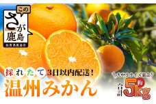 ＼農家直送＆鮮度抜群！／収穫後3日以内発送・松本農園の温州みかん 約5kg｜有明海の潮風で育った鹿島産みかん｜フレッシュ｜佐賀県鹿島市 送料無料 B-530