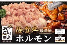 B-557　佐賀牛 ホルモン 【合計750┃250g×3パック】小分けで便利 食べたい分だけ調理 佐賀和牛 肉 牛肉 和牛 佐賀 牛肉 お取り寄せ 佐賀県 鹿島市 冷凍