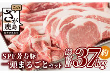 【総重量 約37kg】SPF芳寿豚1頭まるごとセット(分割発送可能)【用途はあなた次第!! 贅沢にまるまる1頭味わい尽くしちゃってください!!】X-2