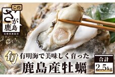 鹿島産 牡蠣 2.5kg(殻付き)【加熱調理用】品種(スミノエ) 期間限定 牡蠣 かき カキ 牡蠣焼き かき焼き カキ焼き 有明海 オイスター 佐賀 B-559