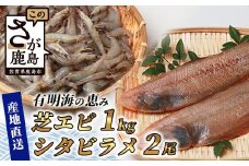 冷凍芝エビ（真エビ）1kg【500g×2パック】＆有明海産 シタビラメ【約150g×2尾】 簡単調理 セット【有明海の恵】 B-569