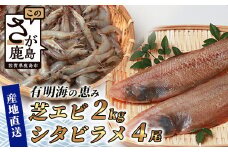 冷凍芝エビ（真エビ）2kg（500g×4パック）＆有明海産 シタビラメ約150g×4尾【有明海の恵】簡単調理 セット D-177