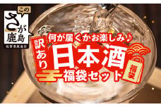 ＼訳あり×お楽しみ福袋！／ 熟成日本酒バラエティセット｜純米大吟醸・純米吟醸など数種類からお届け 清酒 飲み比べセット 佐賀県鹿島市 緊急応援 D-181