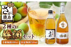 2種の梅酒セット 【幸姫酒造梅酒＆浜宿梅酒】B-577