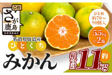 B-632 毎年大人気！【先行予約】平倉果樹園のひとくちみかん約11kg｜鹿島産 小玉みかん（5cm前後）｜贈答用・お取り寄せ ギフト｜温州みかん「ゆら」｜九州 佐賀県 鹿島市産 送料無料 