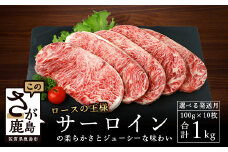 【9月発送】牛サーロインステーキ(牛脂注入)100g×5枚×2袋【合計1kg】柔らかさとジューシーな味わいが自慢のお肉 B-615