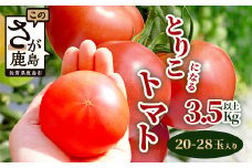 【先行予約】 たにぐちファーム とりこになるトマト 3.5kg以上【2025年12月より発送開始】 Ricotomato トマト [野菜 トマト 新鮮 サラダ 生野菜 とまと おすすめ 送料無料]B-665