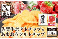 佐賀牛ポテトチップ3袋＆あまおうソルト ポテトチップ3袋 【合計6袋】  B-629