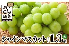 ★レビューキャンペーン開催中!!★【先行予約】ご家庭用 シャインマスカット 約1.3kg 2～3房 佐賀県産 【2025年8月上旬以降発送】 マスカット ぶどう 葡萄 果物 フルーツ 果実 季節 旬 冷蔵 期間限定 国産 ふるさと納税 佐賀県 鹿島市 ふるさと 人気 送料無料 B-658