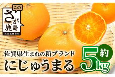 佐賀県生まれ 新ブランド 高級柑橘【にじゅうまる】約5kg みかん 蜜柑 ミカン オレンジ 柑橘 フルーツ 果物 贈り物 贈答 プレゼント 高級 ブランド 限定 ギフト F-55