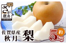 【予約受付 2024年発送分】美味しい ブランド梨【あきづき 梨】約5kg 秋月 フルーツ くだもの 果物 なし 梨 ナシ 贈答 贈り物 プレゼント おくりもの ギフト フルーツギフト B-669