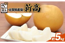 予約受付 2024年発送分 美味しい ブランド梨 新高 梨 約5kg にいたか フルーツ くだもの 果物 なし 梨 ナシ 贈答 贈り物 プレゼント おくりもの ギフト フルーツギフト ふるさと納税 佐賀県 鹿島市 B-670