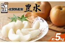 【予約受付 2024年発送分】美味しい ブランド梨【豊水 梨】約5kg ほうすい フルーツ くだもの 果物 なし 梨 ナシ 贈答 贈り物 プレゼント おくりもの ギフト フルーツギフト 豊水梨 B-671