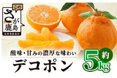 【予約受付】基準クリアの高級柑橘 デコポン 約5kg 不知火 しらぬい でこぽん みかん 蜜柑 ミカン オレンジ 柑橘 フルーツ 果物 贈り物 贈答 プレゼント 高級 ブランド 限定 ギフト ふるさと納税 佐賀県 鹿島市 B-672